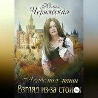 Юлия Вячеславовна Чернявская. Академия магии. Взгляд из-за стойки
