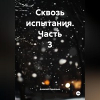 . Сквозь испытания 3