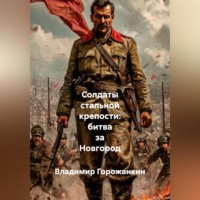 Владимир Горожанкин. Солдаты стальной крепости: битва за Новгород.