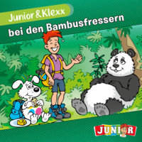 Tina Fritzsche. Junior & Klexx, Band 2: Junior & Klexx bei den Bambusfressern (Unabbreviated)