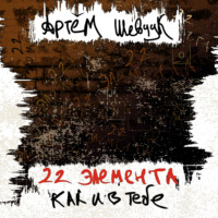 Артём Олегович Шевчук. 22 элемента как и в тебе
