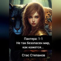 . Пантера 1-1. Не так безопасен мир, как кажется…