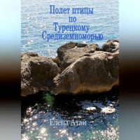 . Полет птицы по Турецкому Средиземноморью