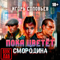 Игорь Соловьев. Пока цветет смородина