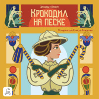 . Крокодил на песке