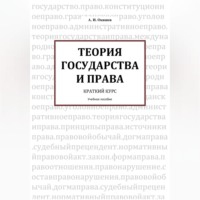 Теория государства и права. Краткий курс