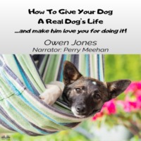 . How To Give Your Dog A Real Dog's Life