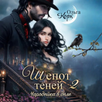 Ольга Корк. Шепот теней. Чародейка в деле 2