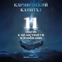 Юрий Акимов. Кармический капитал: 11 шагов к целостности и изобилию