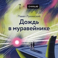 Дождь в муравейнике