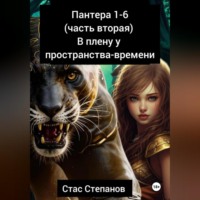 . Пантера 1-6. Часть вторая. В плену у пространства-времени