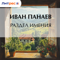 Иван Иванович Панаев. Раздел имения