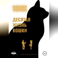 Сергей Овчинников. 10 ЖК. Десятая жизнь кошки