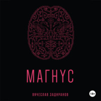 Вячеслав Задиранов. Магнус