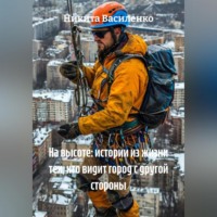 Никита Андреевич Василенко. На высоте: истории из жизни тех, кто видит город с другой стороны