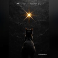 В.А. Полонянкина. Мир глазами Мистера Полночь