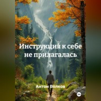 Антон Максимович Волков. Инструкция к себе не прилагалась