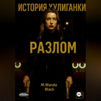 M. Wanda Black. История Хулиганки: Разлом