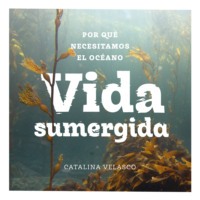 Catalina Velasco. Vida sumergida