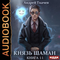 Андрей Ткачев. Князь шаман. Книга 11