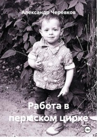 Работа в пермском цирке