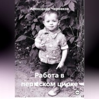 Александр Черевков. Работа в пермском цирке