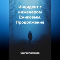 Сергей Семенов. Инцидент с инженером Ёжиковым. Продолжение.