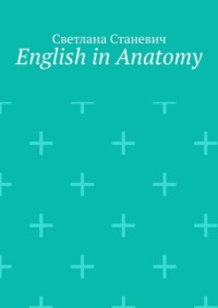 English in Anatomy