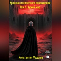 Константин Федотов. Хроники магического возвышения. Том 4. Чужой мир.