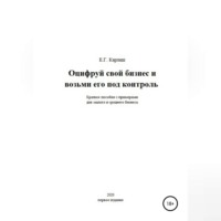 Екатерина Генриховна Карлаш. Оцифруй свой бизнес и возьми его под контроль