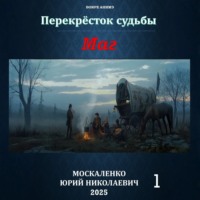 . Маг. Книга первая