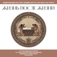 . Жизнь после жизни. Для тех, кто хочет все успеть