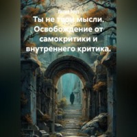 Лилия Роуз. Ты не твои мысли. Освобождение от самокритики и внутреннего критика.