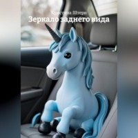 . Зеркало заднего вида