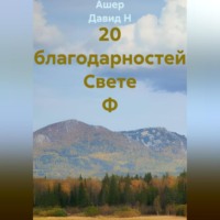 Ашер Давид Н. 20 благодарностей Свете Ф