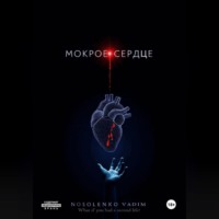 Вадим Павлович Носоленко. Мокрое сердце