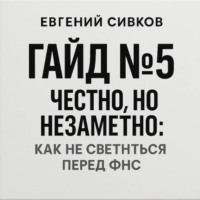 Евгений Владимирович Сивков. Гайд 5: честно, но незаметно: как не светиться перед ФНС