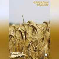 Фарзалин Радмир. Тишина внутри