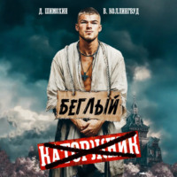 Дмитрий Шимохин. Беглый