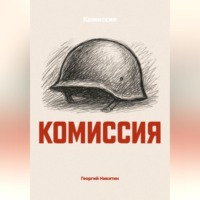 Георгий Никитин. Комиссия