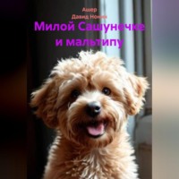 Ашер Давид Михайлович Нонин. Милой Сашунечке и мальтипу