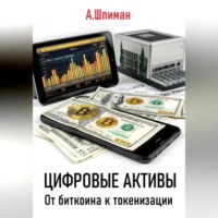 . Цифровые активы. От биткоина к токенизации
