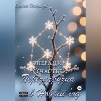 Сергей Стариди. Операция «Счастье»: перезагрузка в Новый год