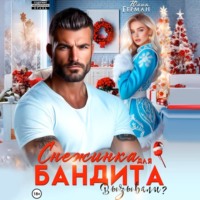 . Снежинка для бандита. Вызывали?