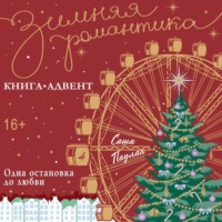 Саша Паулан. Одна остановка до любви