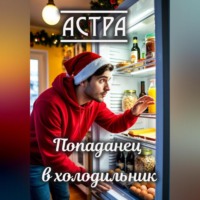 Астра. Попаданец в холодильник