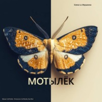 Елена Ивушкина. Мотылёк