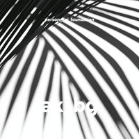  person_api_foundation. ak_bg