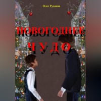 Олег Юрьевич Рудаков. НОВОГОДНЕЕ ЧУДО