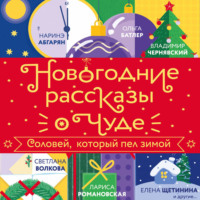 Новогодние рассказы о чуде. Соловей, который пел зимой